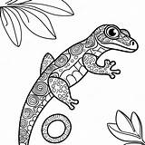 Gecko Coloring Page 29484 23307 sketch template