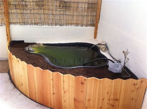 Turtle Tank Decoration Ideas 6 – lovelypurr in 2020 | Turtle habitat ...