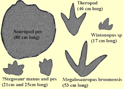 Labor View from Bayside: Broome Dinosaur Footprints