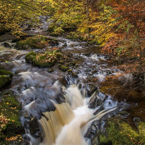 Autumn Colours in Perthshire, Scotland Stock Image - Image of autumn ...