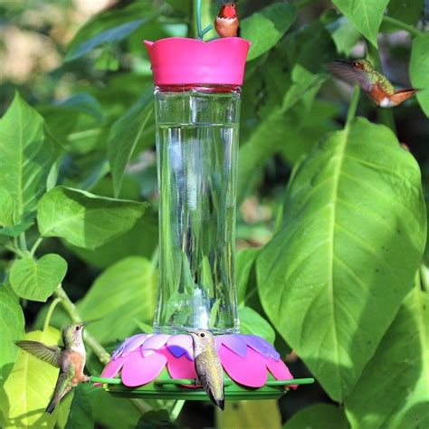 So Real Pink Hummingbird Feeder | Humming bird feeders, Feeder, Hummingbird