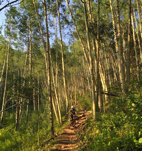 Five2Ride: 5 of the Best Mountain Bike Trails in Colorado - Singletracks Mountain Bike News