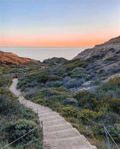 Torrey Pines Beach Trail: Unforgettable Coastal Hike in San Diego