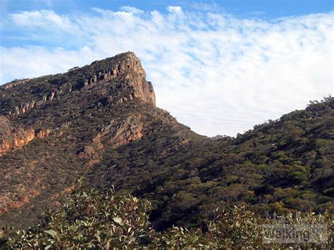 St Mary Peak Hike, Ngarri Mudlanha, Wilpena Pound | Walking SA