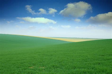 Green Field Wallpapers - Wallpaper Cave