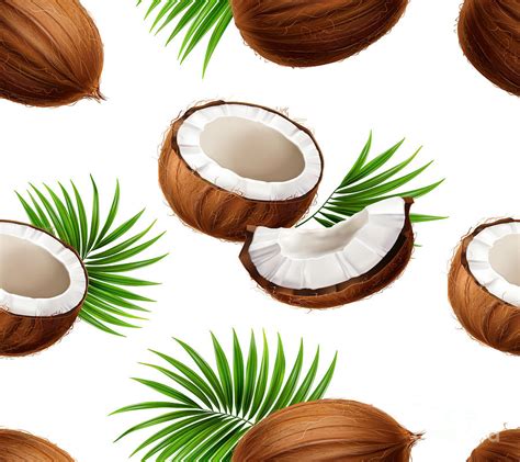 Coconut Pattern Digital Art by Noirty Designs - Pixels