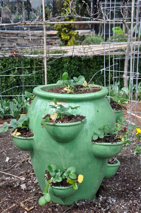 How to Plant a Strawberry Pot: 20+ Creative Strawberry Pot Plant Ideas | Strawberry pots ...