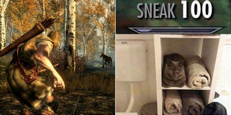 Skyrim: 10 Hilarious Memes About Sneaking & Stealth | Game Rant