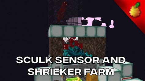 How To Make An Efficient Sculk Sensor And Shrieker Farm - YouTube