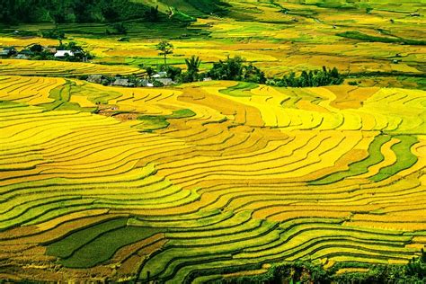 Rice Terraces Fields Paddy - Free photo on Pixabay