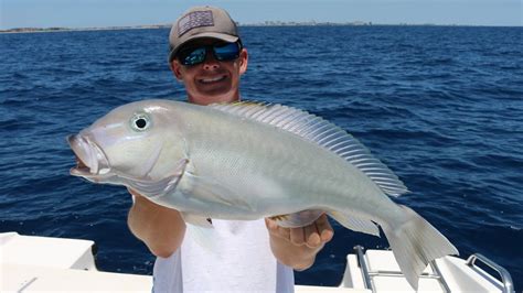 NJDEP Division of Fish & Wildlife - Blueline Tilefish: A Profile