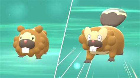 How Do You Evolve Bidoof? 16 Most Correct Answers - Chiangmaiplaces.net