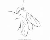 Horse Fly Coloring Page For Kids  Free Butterflies Printable sketch template