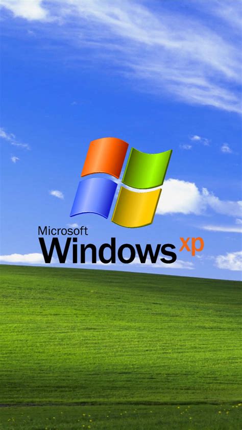 Windows Xp Professional Logo