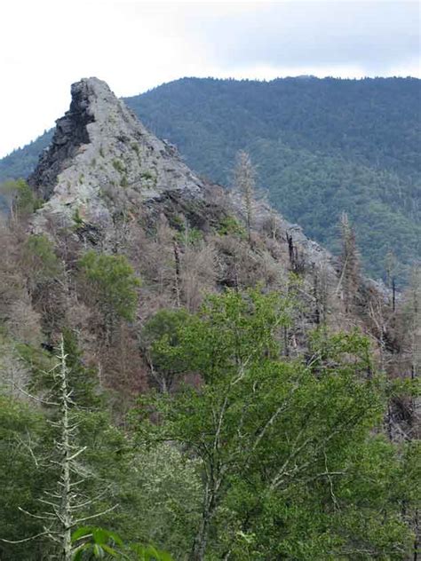 Chimney Tops Trail Reopening for First Time Since Wildfire