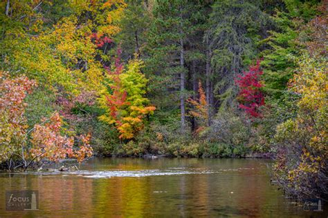 Betsie River | Focus Gallery - Frankfort, Michigan