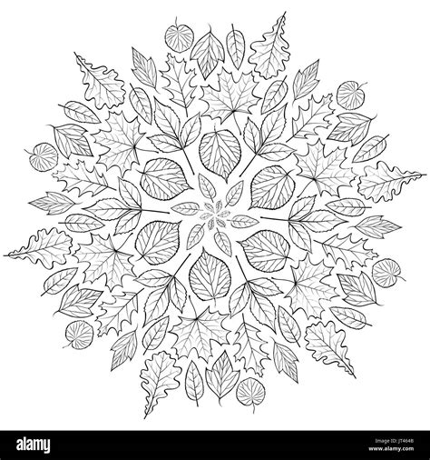 Autumn mandala with autumn leaves on white background. Coloring page for children and adult ...