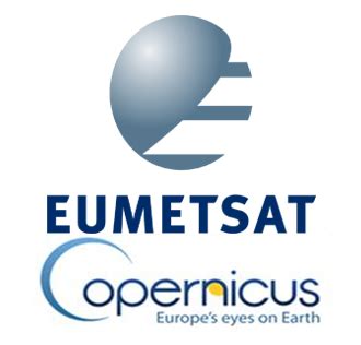 EUMETSAT and PORTWIMS: Using the Copernicus Marine Data Stream for Ocean Applications in Lisbon ...