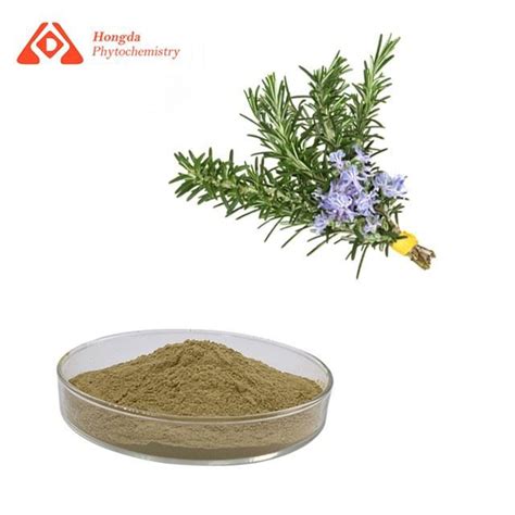 China Rosmarinic Acid Powder Manufacturers Suppliers Factory - Wholesale Service - HONGDA