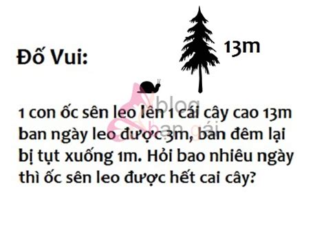 48 câu đố vui hại não cực hay