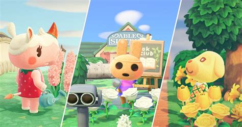 Animal Crossing New Horizons — The 15 Best Normal Villagers