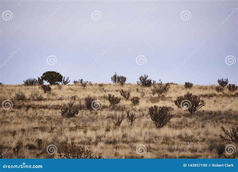 Southwest desert Landscape stock photo. Image of arid - 143857190