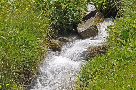 Improve Water Supply In Rural Areas – Using Natural Springs – Country Homestead Living – Living ...