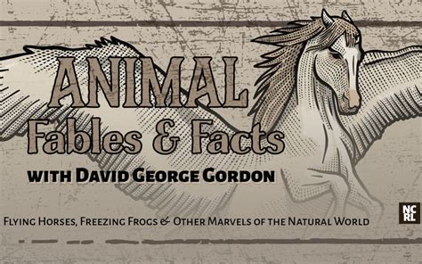 Animals, Fables, & Facts, Oh My! » NCW Libraries