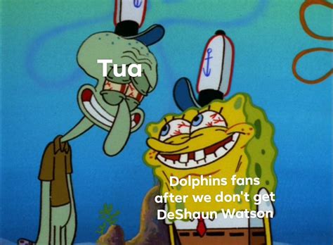 A meme I made : r/miamidolphins