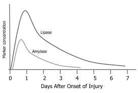 Amylase and Lipase in Acute Pancreatitis | Epomedicine