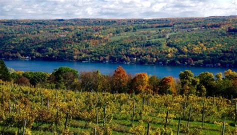 Keuka Springs Vineyards • Wine Tastings, Tours, Events & Hours • Winetraveler