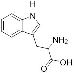 Draw tryptophan and show the chiral carbon atom. | Study.com