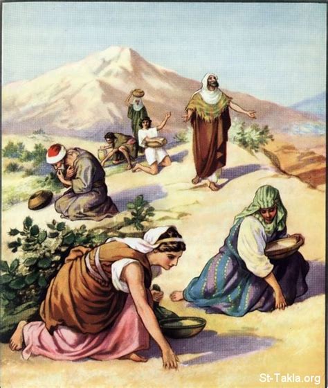 Exodus 16 Commentary | Old Testament | Matthew Henry | St-Takla.org