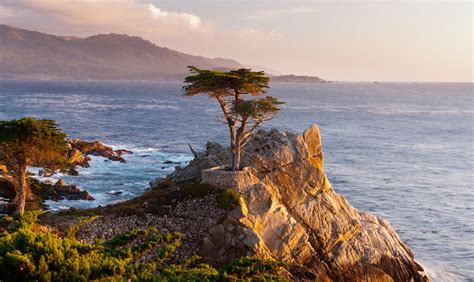 17 Miles Drive - Monterey Carmel, California Road Trip - California Coast.