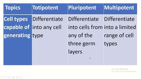 Difference between totipotent, pluripotent & multipotent stem cells | Stem cells, Cell, Stem