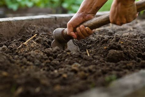 Should You Add Sand to Clay Soil? Important Facts & Tips | House Grail