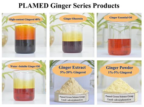 Gingerol 10% Hplc Ginger Root Extract Powder ginger Root Extract - Buy Ginger Extract Root ...