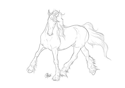 FREE Lineart - Gypsy Vanner Dressage by Darya87 on DeviantArt