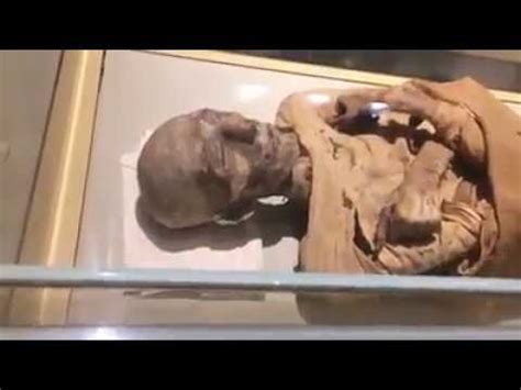 Latest Video of Ramesses II (Firoon) Dead Body at Egyptian Museum - YouTube