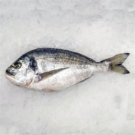 Sea Bream | Fresh Mart