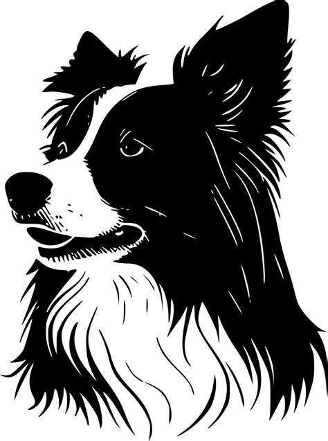 Border Collie, Minimalist and Simple Silhouette - Vector illustration ...