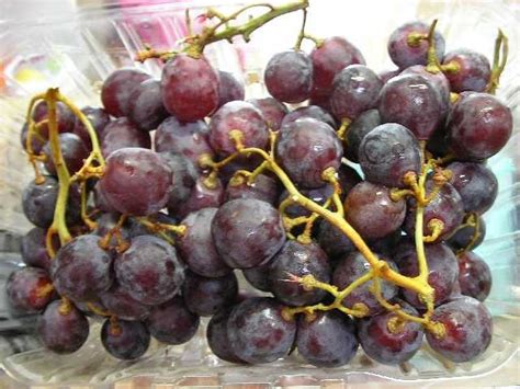 RED SEEDED GRAPESの最新価格や割引(口コミ):コストコで在庫番