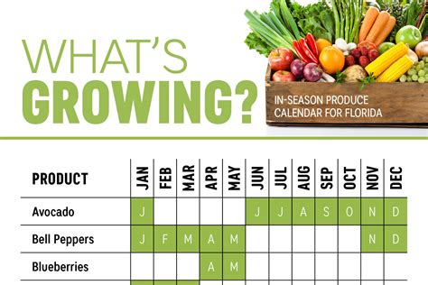 Central Florida Growing Season Calendar - Prue Ursala