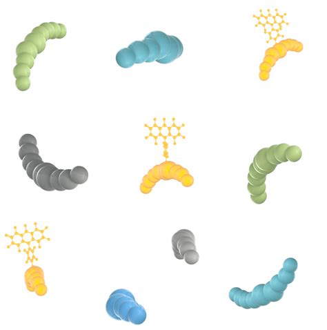 T cell Epitope Mapping | Pure Protein, LLC