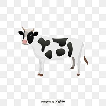 Cow PNG, Vector, PSD, and Clipart With Transparent Background for Free Download | Pngtree