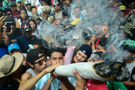 World Weed Day 2022: What is 4/20 and why is it celebrated? - Photos News