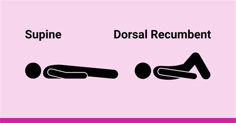 What is the Dorsal Recumbent Position? (Overview)