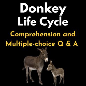 Donkey Life Cycle : Reading Comprehension and Multiple-choice Q & A Test