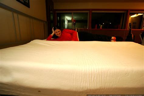 behold! the king size memory foam mattress - _MG_3270 | Flickr