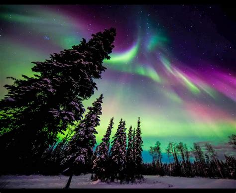 Northern Lights create beautiful sky show for thousands - Daily Star